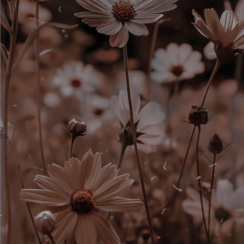 کاش از آسمون آبی بیاد صدایی منو نجاتم بده از این