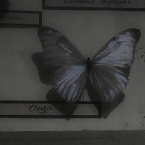  از همه ادما حتی درو دافا بیزارم وقتی زنگ‌ میزنم چرا رد میزنی