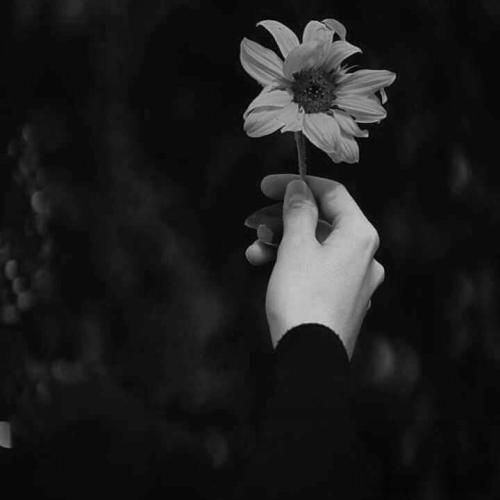 اگه بیای به خوابم سر میزارم رو
