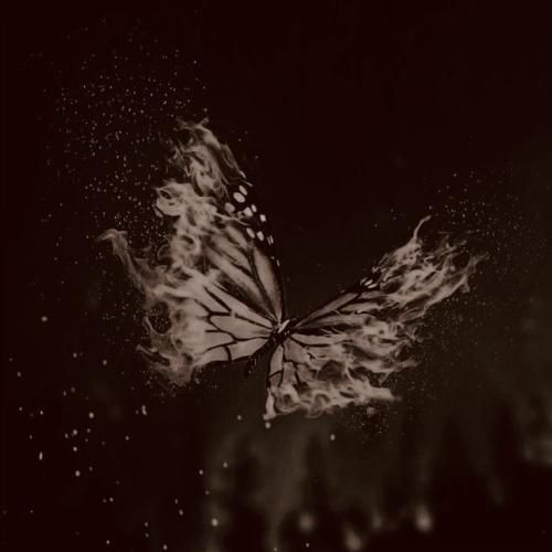  بال و پرم بودی یه روز حالا دلت دست غریبه ها وله