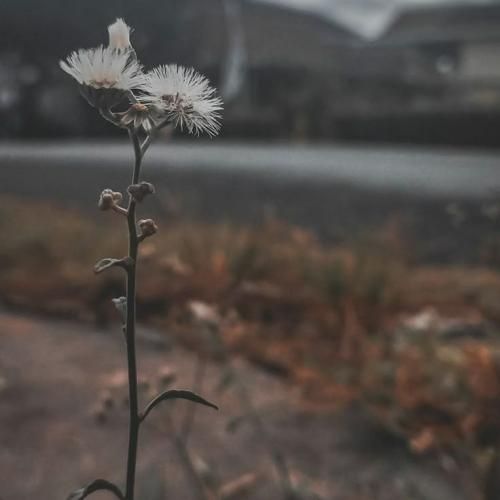  کم کن قضاوت با اون انگشت اشارت