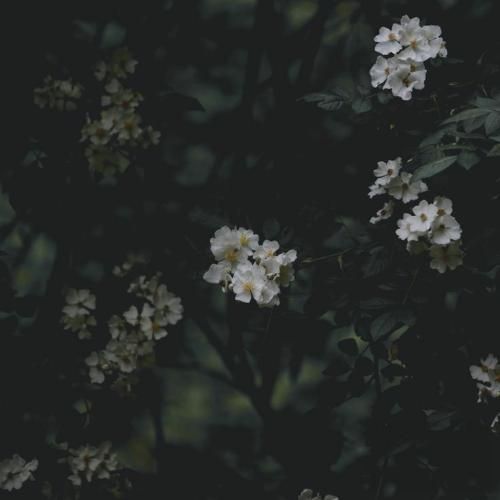 با تو کنار دریا صدای آب می باره رو سرمون