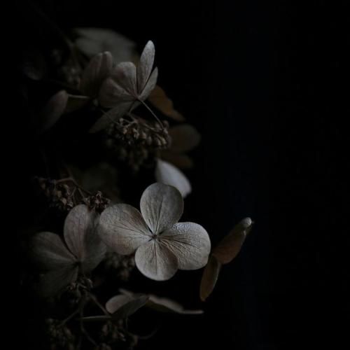 تورو دارم غمم نی هوایی تو سرم نی مو ای دلو دریا زدم