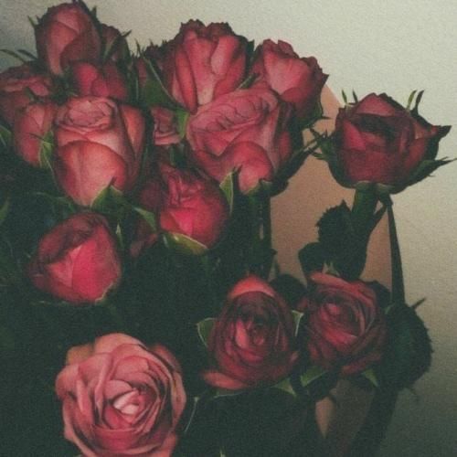 بهت حواسم بود بود حواسم لاشخورا نماسن بهت