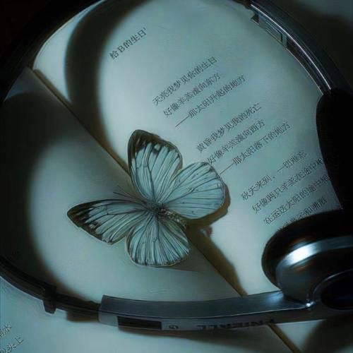 میدونم هر نری رسید مرد شد واست میدونم مجبور میکنی خودتو