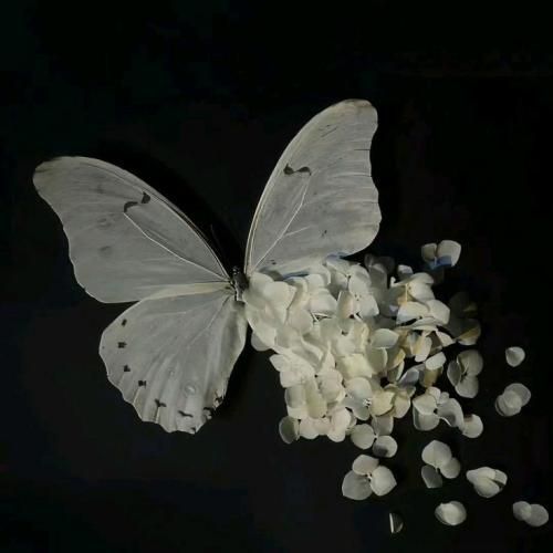 وقتی رفیقم میپیچه نسخش اصلا نسل چهار نداره مرخصی