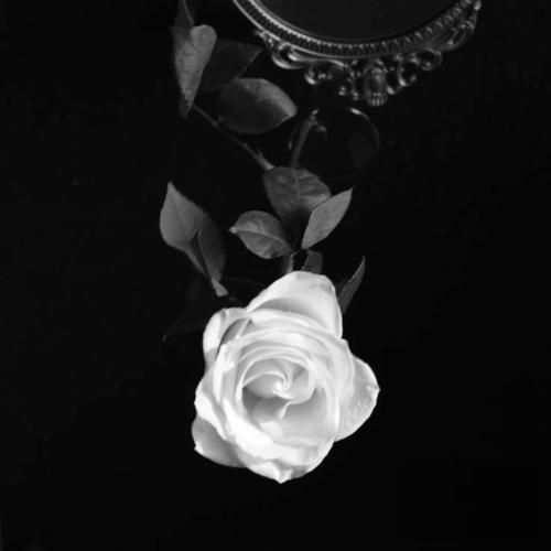  دل من این رو بدون اون دیگه رفته