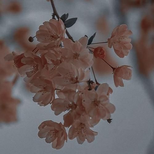  اثر مخاطب اثر خالق اثر سه راس مهم صاحب نظر