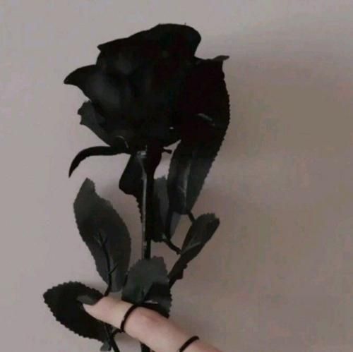 خارجی میتونستیم آزاد باشیم آزاد نمیتونیم درستش کنیم