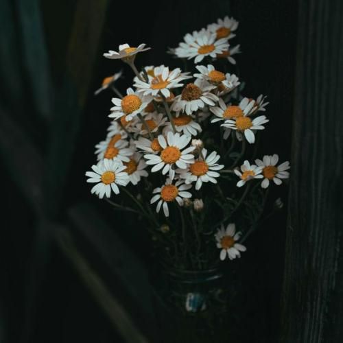  زیر سایه ی ماه خواستش بام بره راه منم عاشقش شدم