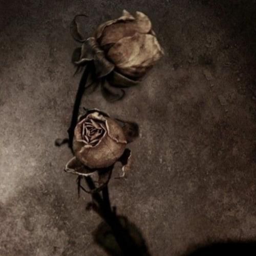  میخوام اینو بدونی چه بری یا بمونی میمونه دل خونی