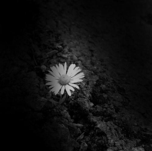  ﺳﺮ ﻣﻪ ﺧﺎﻟﻰ ﻣﻴﻜﺮد ﻛﻤﺒﻮد ﻋﻘﺪه ﻫﺎﺷﻪ ﻫﻰ ﺑﺎ ﻣﻦ ﻛﻞ ﻛﻞ ﻣﻴﻜﺮد