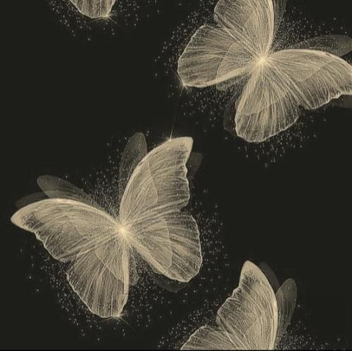 نبودم مثل تو هنوزم مثل توم یه دیوونهی خل