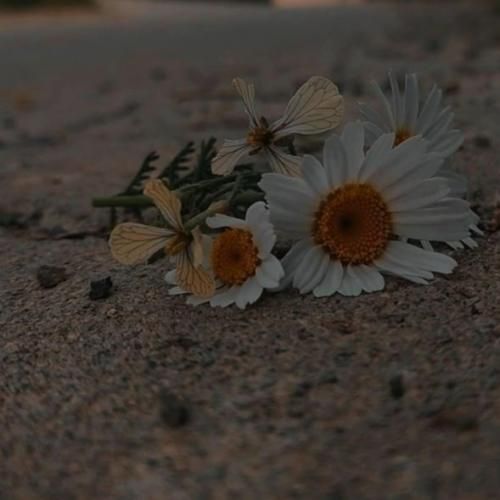  جهان امروز یه جهان گسسته است هیچ تعریف