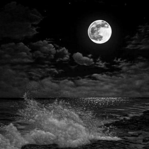  بگو کجا سرگرمی شبا واسم سردردی کی میخوایی برگردی