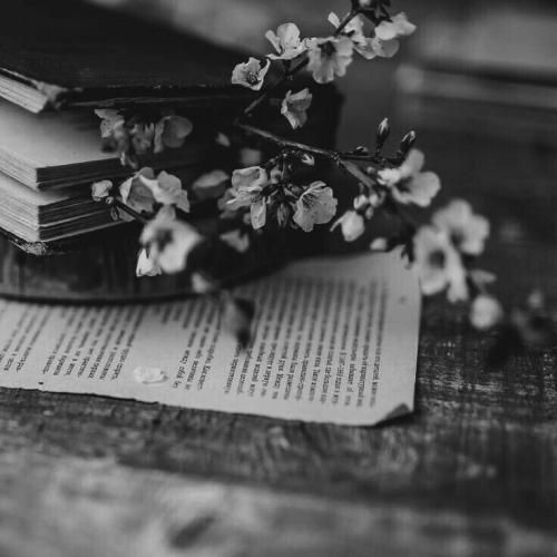 وصله نگات به من صدات و دوست دارم صدام بزن