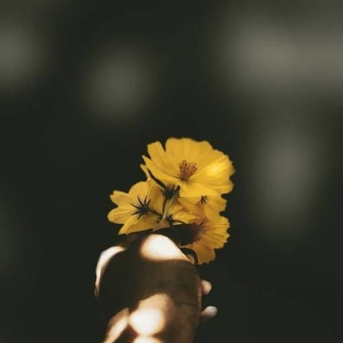 کی میدونه چی میشه تهش نذار بریزه از سیاه چاله چشمات غم دنیا