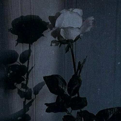 خوبیا رو تو جمع کن بذار مال من شه بداش