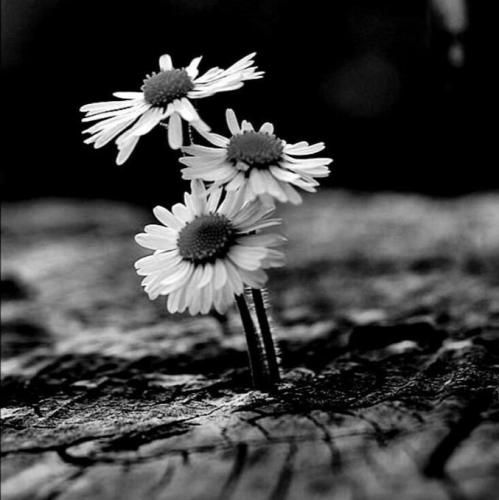 ای خدای بی نهایت نبود حواسم به ساعت عمرمون گذشت چه راحت