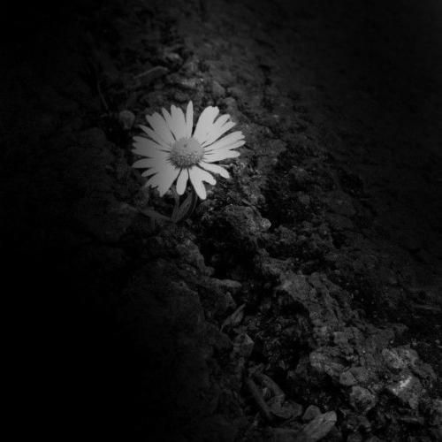 حالا دیدی تنهام گذاشت رفت تو میدونی که بی اون نمیتونم