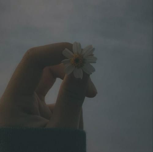 دمت آکالین و سفو یرینده دور