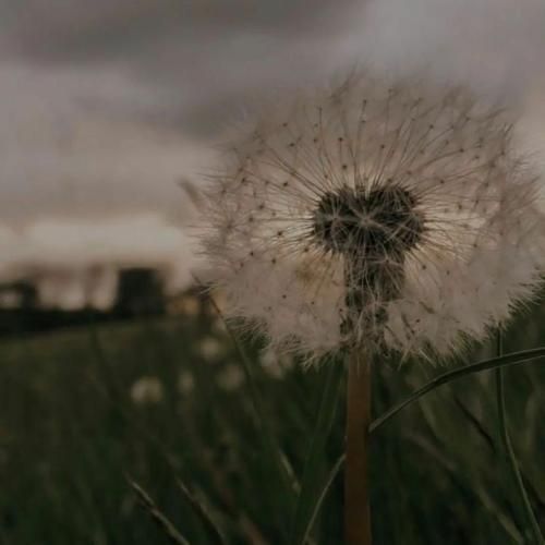  نمیمونه پشت ابرا تا ابد ماه وقتی خورشید