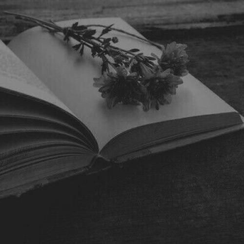 ترکی تو سرجات بمون اون خودش پیدات میکنه