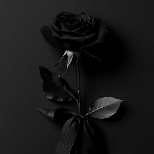  خارجی تورو تحت نظر دارم کاری میکنم که همیشه درگیرم باشی