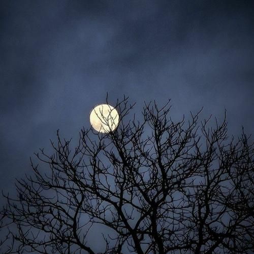  بگو با خودت چند چندی هر چی حد و مرزه دیگه رد کردی