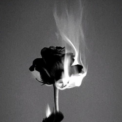 از دست من میری از دست تو میرم هوش مصنوعی