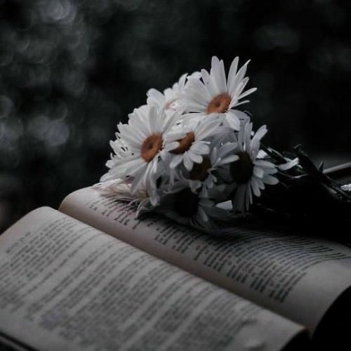 زخم ها بخشی از من هستن تاریکی و هارمونی