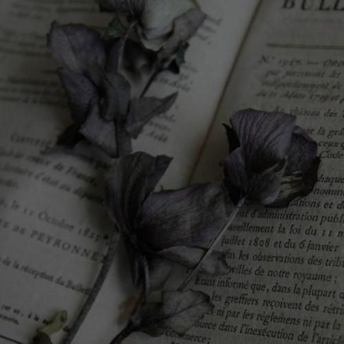  فکر کنم آخرامه بده نجاتم