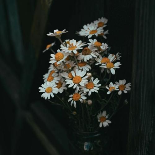 تو میگی بالا تر از سیاهی رنگی نیست ولی سفید شدم باهات