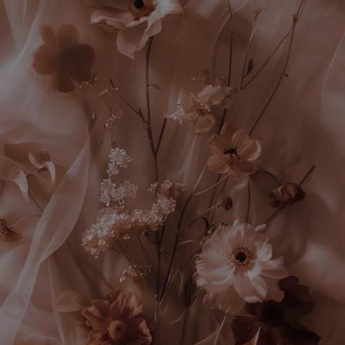  حبیبی مهما کنت بغیب بقلبک کنت