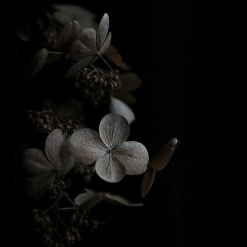  اره به این عشقا نی اعتباری ولی ما با هم آینده داریم