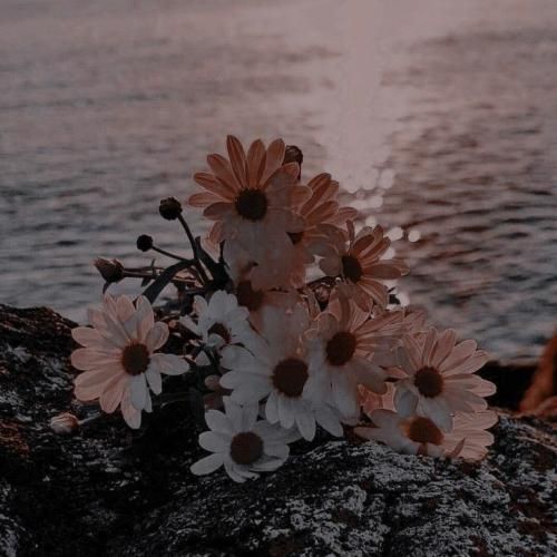 همه شعرام برا تو غم فردات برا من بال پرواز