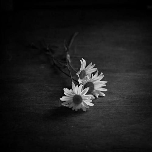  یواش یواش تو قلبم خونه کردی