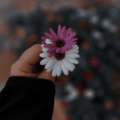  این روزا خیلی دلم خونه میخواد یه آغوش گرم و یه شونه