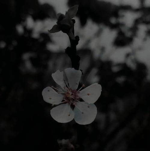 خفه کنه پسر رو زدم رفت خلسه سوبر بودم گله میکنه منو هندل