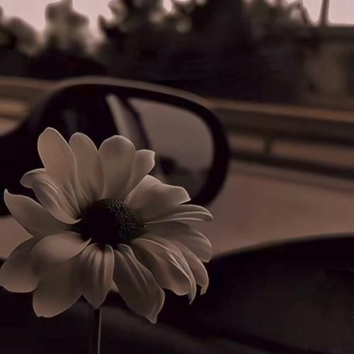 دست من آلوده به گناه به دست من نگاه نکن به قلبمم نگاه نکن