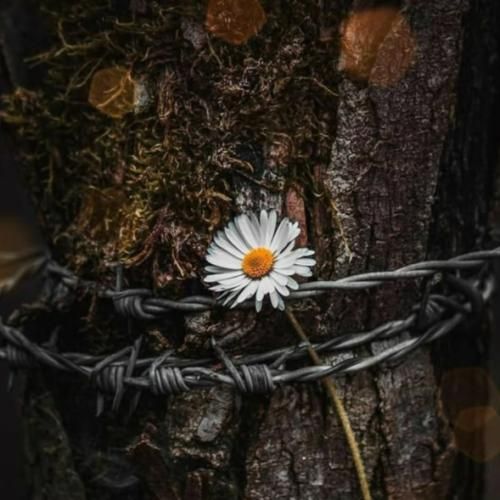 پر حسرت پر اندوه پر خشمم همیشه بوده یه اخمی