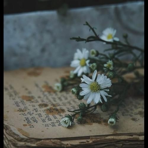 چشای تو دروازه های بهشتن اسمتو رو