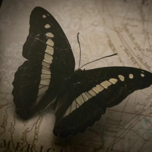  گاهی بد خسته ام ولی میدونم که نمیخوامم بگردم