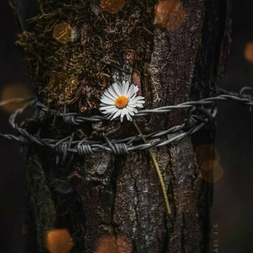  ممکنه بشیم یکم عوض ولی قانع نیستیم ما که به کمتر از این قسمتم