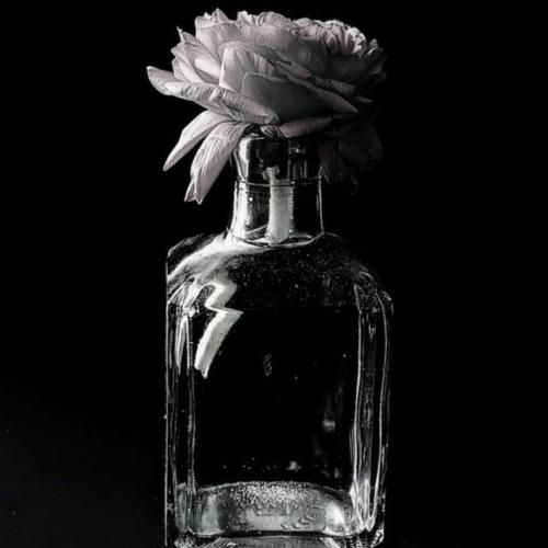 رومی و جین او فیری