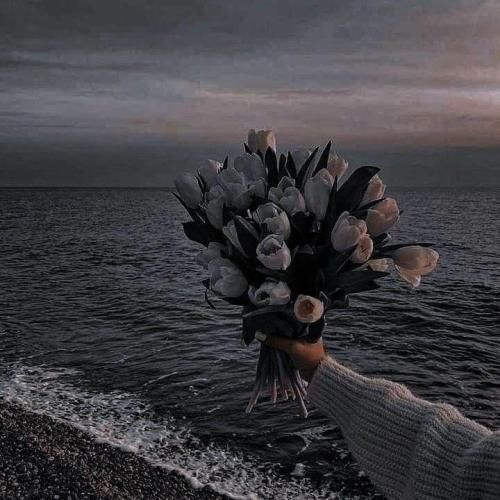 فاطمه عطایی جان لیلی