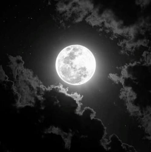  من مثلت نبودم مثل تو نبودم که