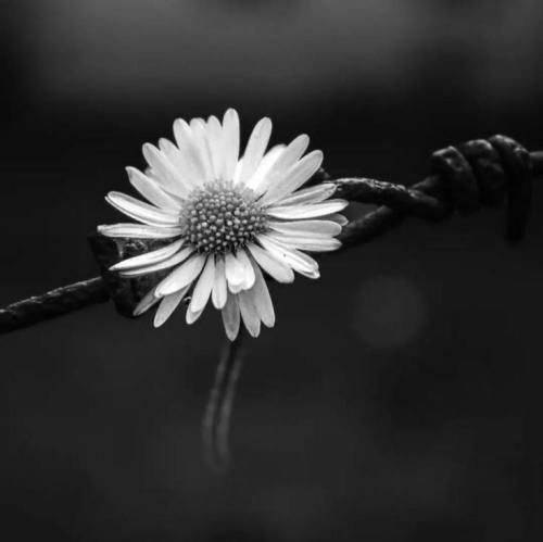 ساختیم چه فیگور قدری از همه نظری موندنی ابدی ولی افتادیم