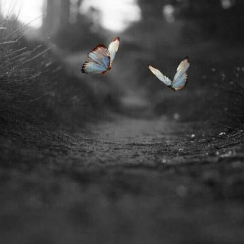 تتوی عشقت روی قلب منه نبودنت برام حس جون کندنه