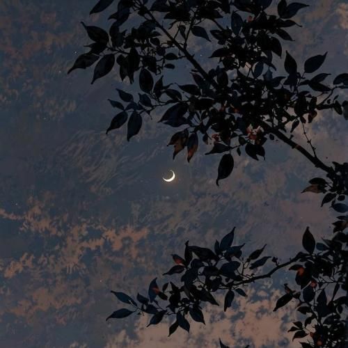 آتش دوشتوم گذشتم از همه آدمای دوروبرم منم ردی بی عار